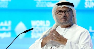 "Irán se comporta como una superpotencia, incluso sin armas nucleares", dice asesor presidencial emiratí