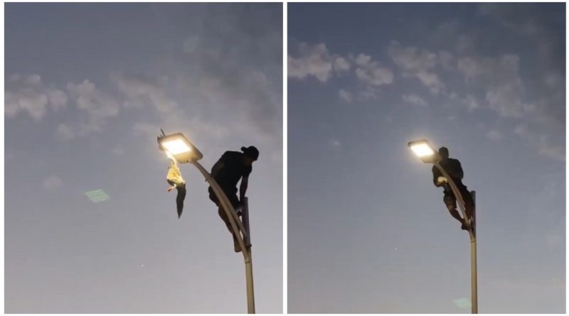 VIDEO: Joven arriesga su vida para rescatar una gaviota atrapada