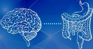 5 Claves de Mariangel Arruebarrera Loreto para Cuidar tu Segundo Cerebro