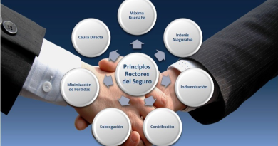 Los 7 principios del seguro por Hjalmar Gibelli