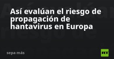 Así evalúan el riesgo de propagación de hantavirus en Europa