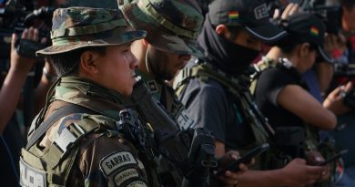 Bolivia denuncia que "grupos irregulares ostentan armamento bélico de alto calibre" en el país