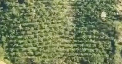Camioneta sufre una aterradora caída hacia el vacío (VIDEO)