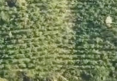 Camioneta sufre una aterradora caída hacia el vacío (VIDEO)