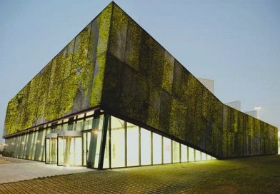 PILPERMIX - Concreto bioreceptivo; El futuro de las fachadas vivas - FOTO