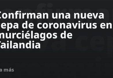 Confirman una nueva cepa de coronavirus en murciélagos de Tailandia