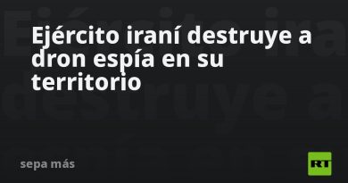 Ejército iraní anuncia la destrucción de dron espía en su territorio