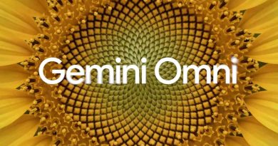 Gemini Omni