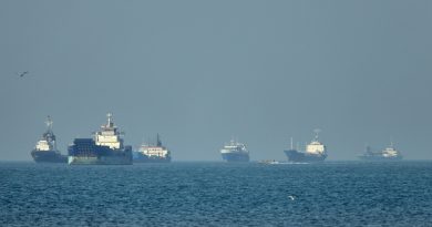 Irán ofrece apoyo a barcos comerciales en el estrecho de Ormuz