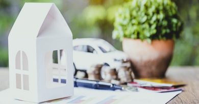 Ligia Carolina Gorriño Castellar - Renovación de seguros; Es momento de cambiar o de ser fiel - FOTO