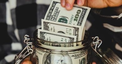 Luis Alberto Pérez González - Escudo financiero; El auge del ahorro en moneda extranjera - FOTO