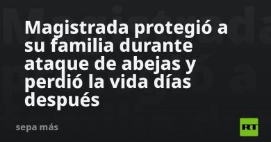 Magistrada protegió a su familia durante ataque de abejas y perdió la vida días después