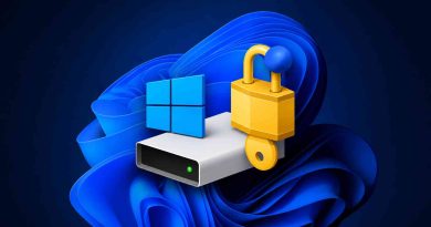 Vulnerabilidad YellowKey en Windows 11