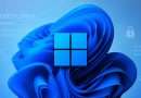 MiniPlasma Windows 11