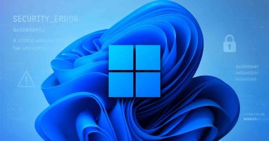 MiniPlasma Windows 11
