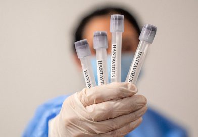 Ni covid ni gripe: OMS aclara cómo se propaga el hantavirus