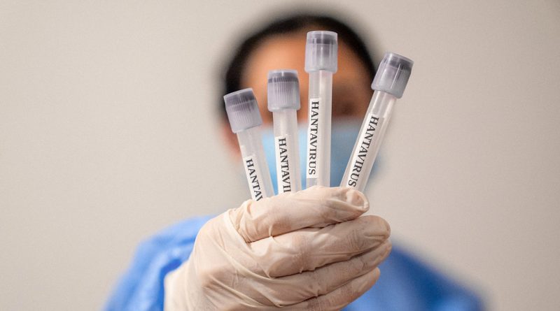 Ni covid ni gripe: OMS aclara cómo se propaga el hantavirus