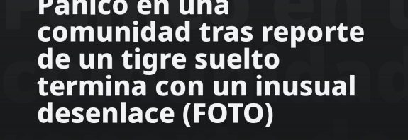 Pánico en una comunidad tras reporte de un tigre suelto termina con un inusual desenlace (FOTO)