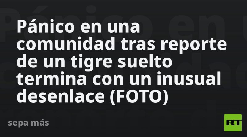Pánico en una comunidad tras reporte de un tigre suelto termina con un inusual desenlace (FOTO)