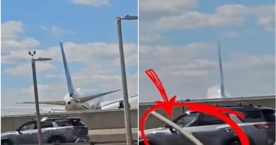 VIDEO: Avión choca contra un poste de luz en una autopista mientras aterrizaba
