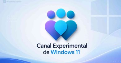 Windows 11 build 29595.1000 y 28020.2149
