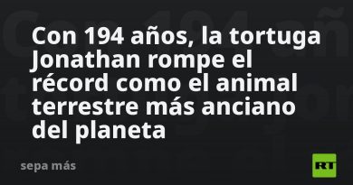 Con 194 años, la tortuga Jonathan rompe el récord como el animal terrestre más anciano del planeta