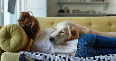 Confirmado: dormir con un perro es más saludable que con un gato