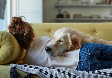 Confirmado: dormir con un perro es más saludable que con un gato