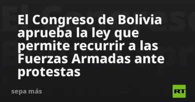 El Congreso de Bolivia aprueba la ley que permite recurrir a las Fuerzas Armadas ante protestas