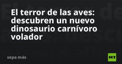 El terror de las aves: descubren un nuevo dinosaurio carnívoro volador