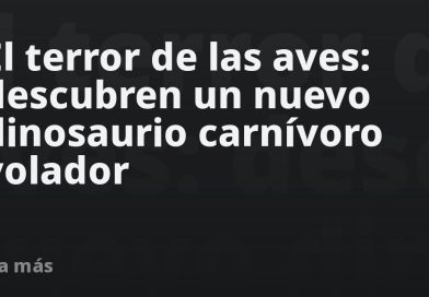 El terror de las aves: descubren un nuevo dinosaurio carnívoro volador