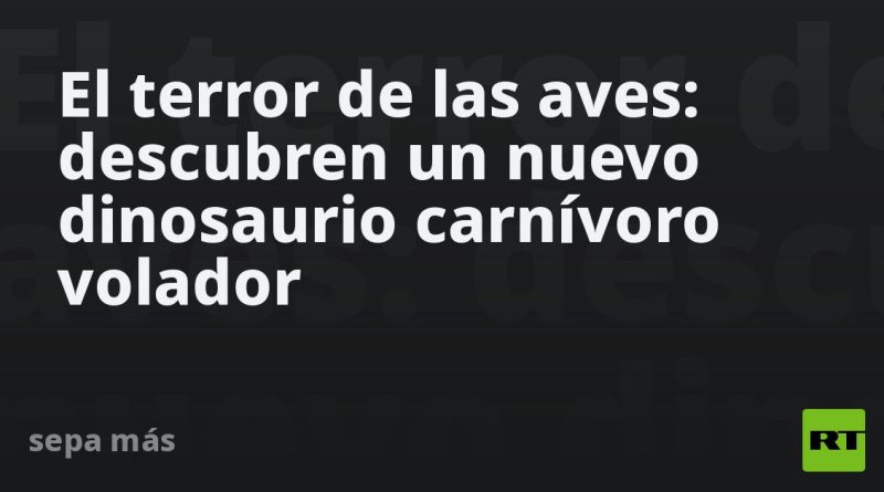 El terror de las aves: descubren un nuevo dinosaurio carnívoro volador