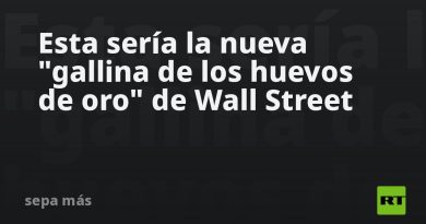 Esta sería la nueva "gallina de los huevos de oro" de Wall Street