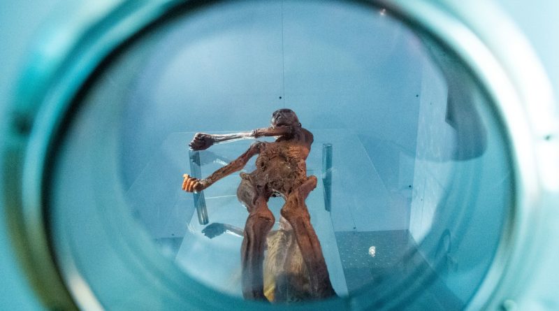 'Hombre de hielo' desconcierta a la ciencia con una sorpresa en sus entrañas