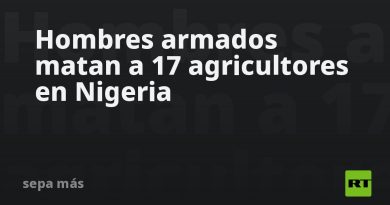 Hombres armados matan a 17 agricultores en un país africano