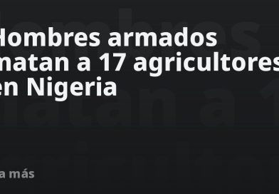 Hombres armados matan a 17 agricultores en un país africano