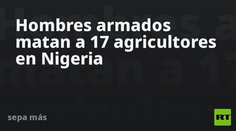 Hombres armados matan a 17 agricultores en un país africano
