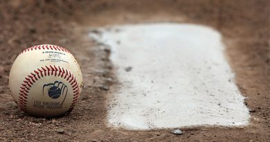 LVBP - béisbol venezolano