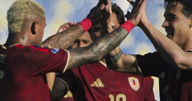 FVF - Vinotinto