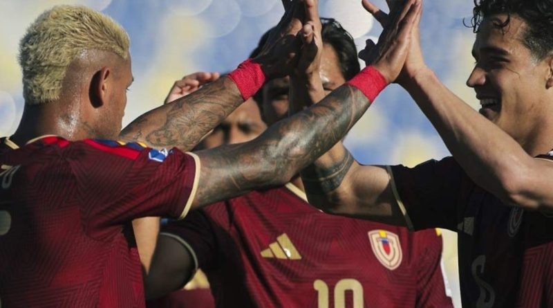 FVF - Vinotinto