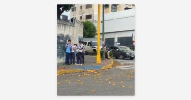 'Lluvia de mangos' sacude a una capital suramericana (VIDEO)