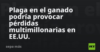 Plaga en el ganado podría provocar pérdidas multimillonarias en EE.UU.