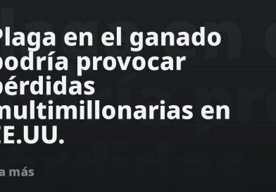 Plaga en el ganado podría provocar pérdidas multimillonarias en EE.UU.