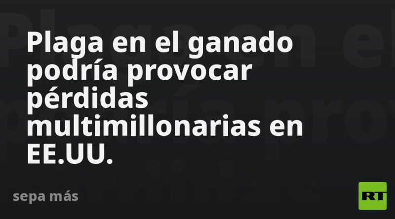 Plaga en el ganado podría provocar pérdidas multimillonarias en EE.UU.
