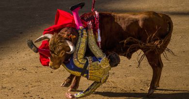 Torero Tomás Angulo, en estado "muy grave" tras recibir dos cornadas (FUERTE VIDEO)
