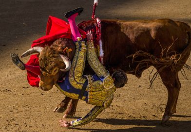 Torero Tomás Angulo, en estado "muy grave" tras recibir dos cornadas (FUERTE VIDEO)