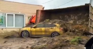 VIDEO: Camión de estiércol vuelca sobre un BMW dorado