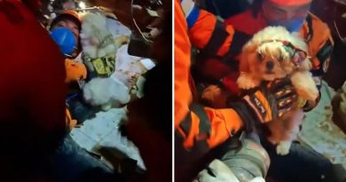 VIDEO: Misión salvadoreña rescata a mascota tras los sismos que azotaron Venezuela