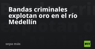 Bandas criminales explotan oro en el río Medellín