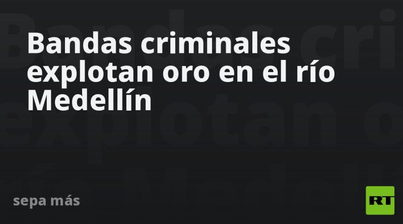 Bandas criminales explotan oro en el río Medellín